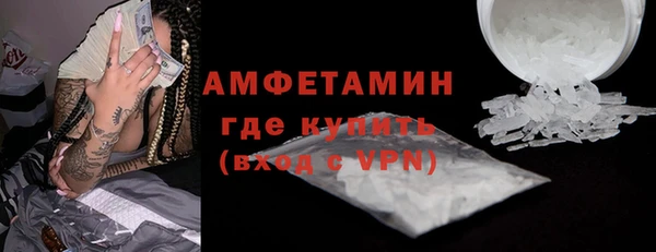 шишки Бородино