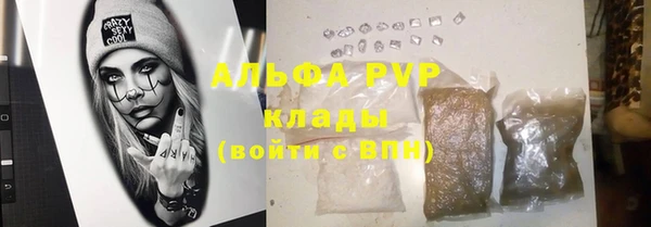 шишки Бородино