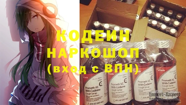 шишки Бородино