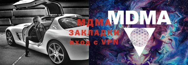 шишки Бородино