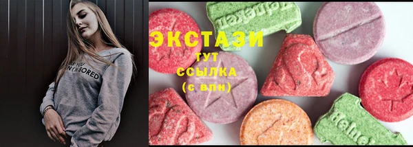 шишки Бородино