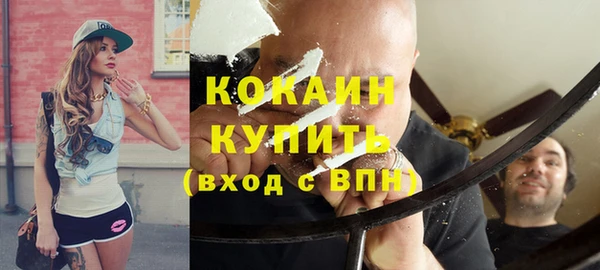 шишки Бородино
