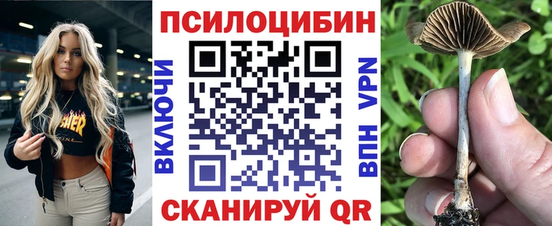 Псилоцибиновые грибы мухоморы  Купить закладки  Слободской 